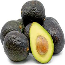 Avocado Hass